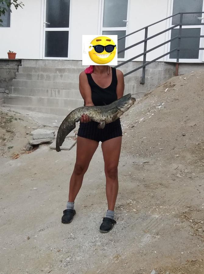 Gratca Nr 164 Orsova Villa Eksteriør bilde